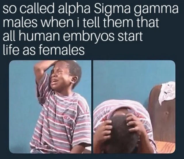 Sigma gamma males - meme