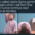 Sigma gamma males