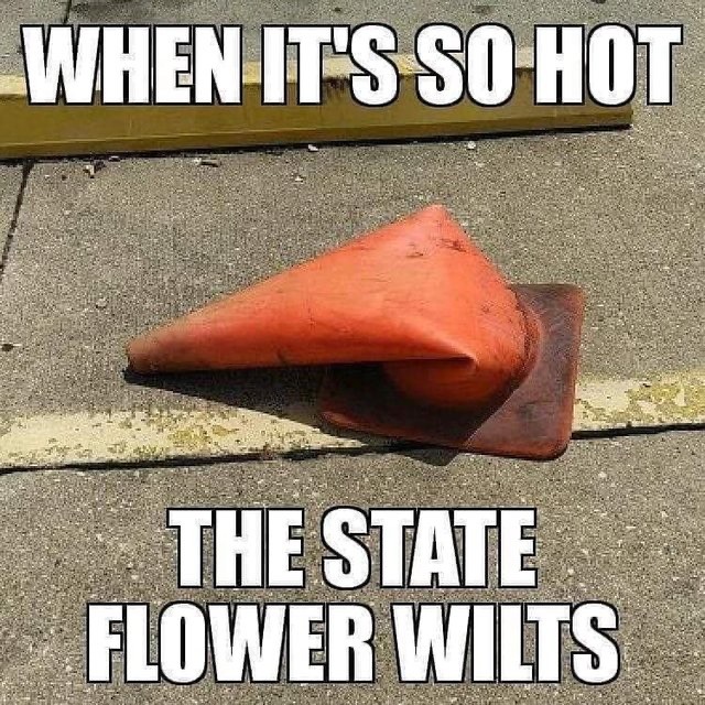 Texas hot? Or Arizona hot: which is worse? - meme