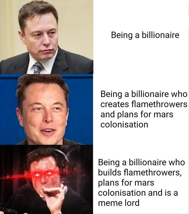 Elon Musk is the ultimate billionaire - meme