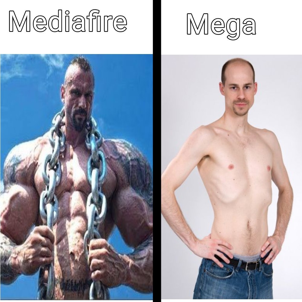 MediaFire - meme