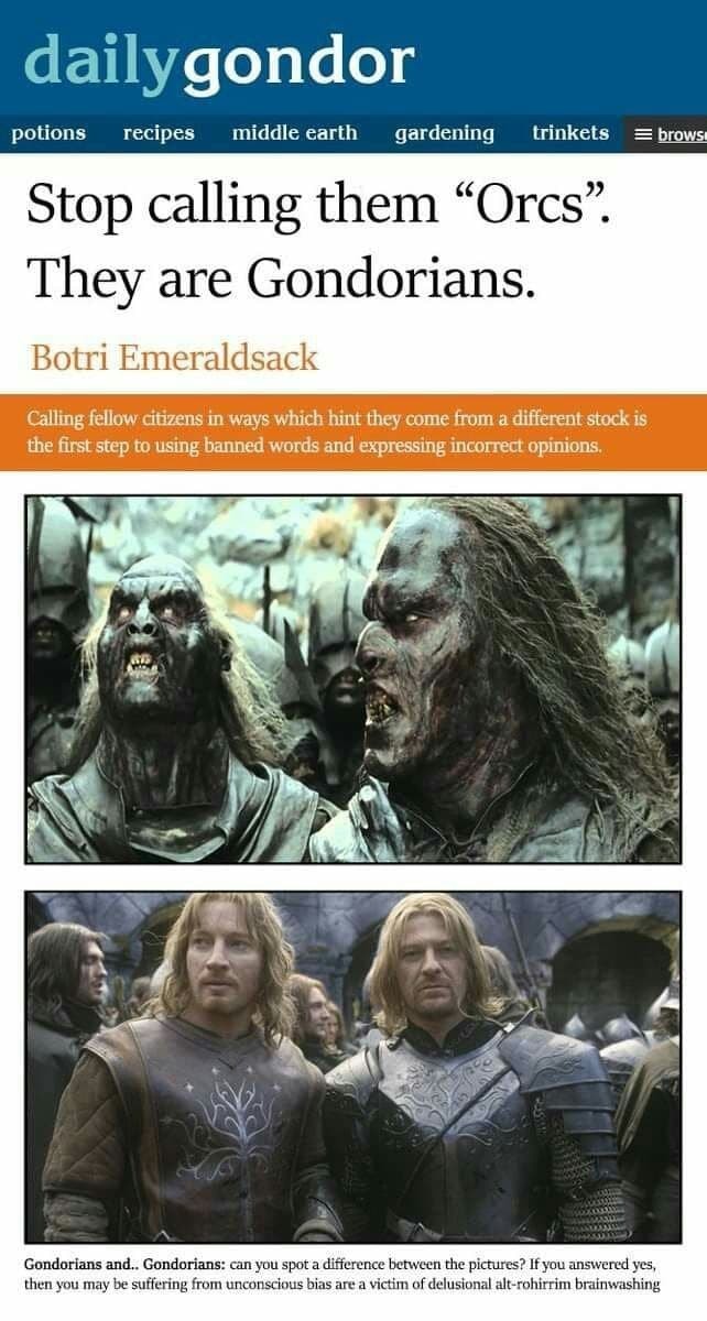 Diversity is Gondor's Strength - meme