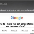War between cat gangs