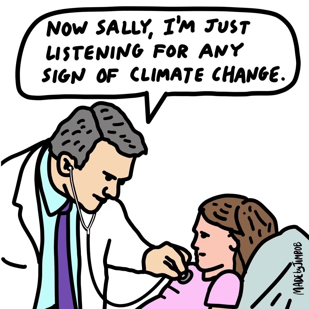 Climate Sally - meme