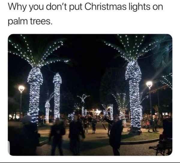 Definitely a merry Christmas - meme