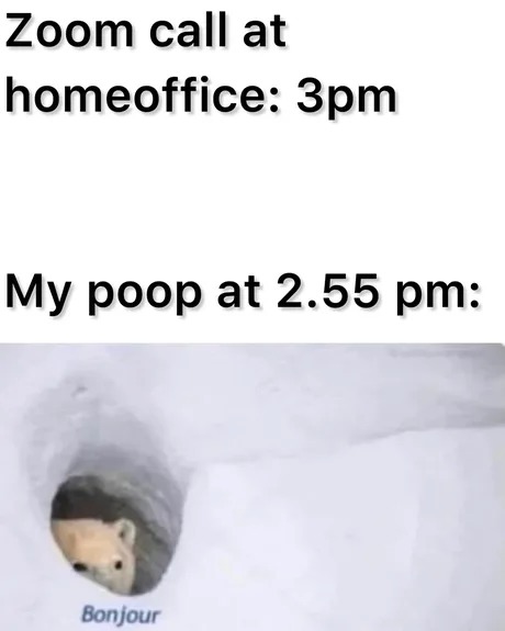 Zoom call at homeoffice meme