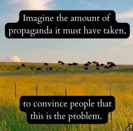 Cows are great - meme