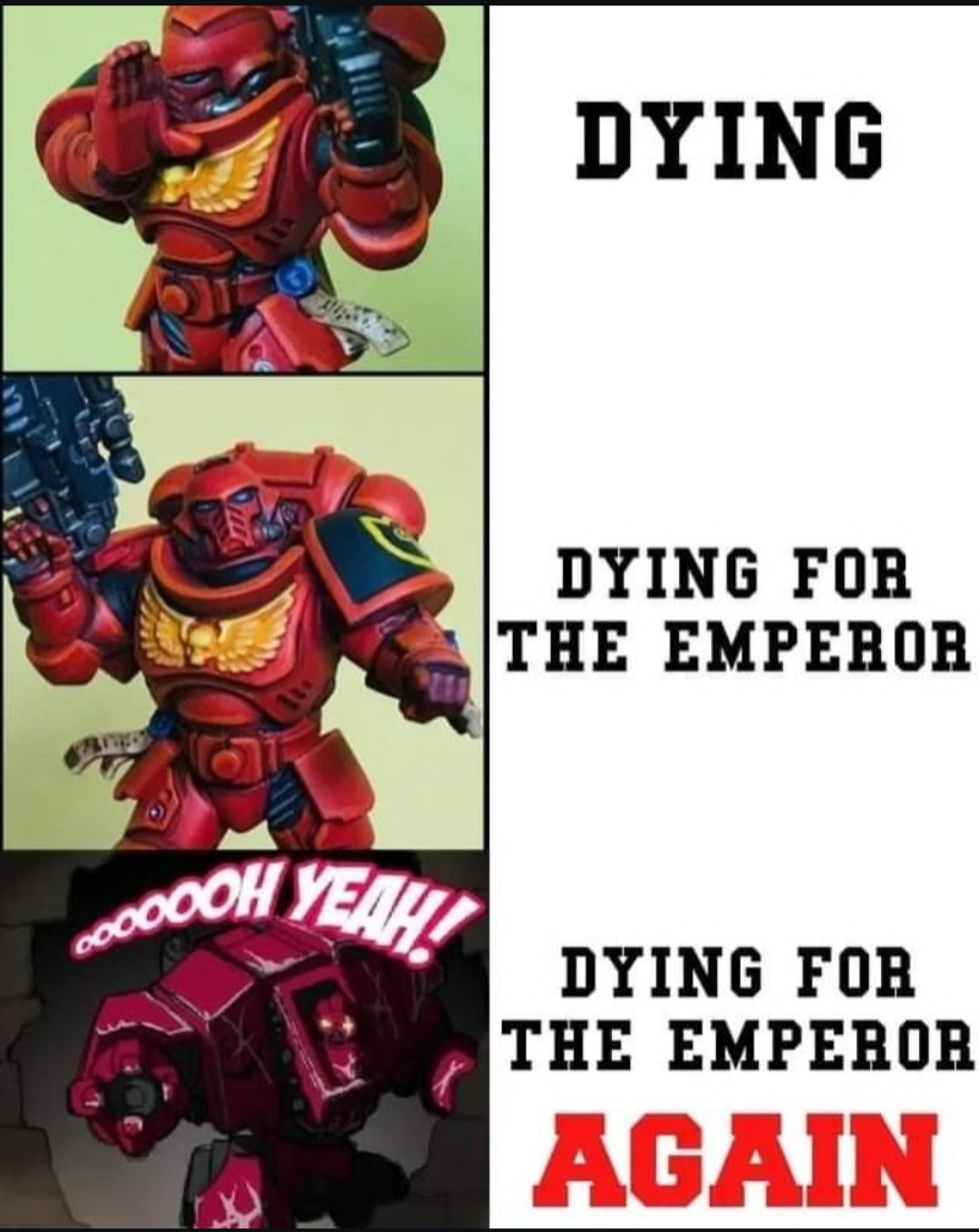 FOR THE EMPEROR - meme