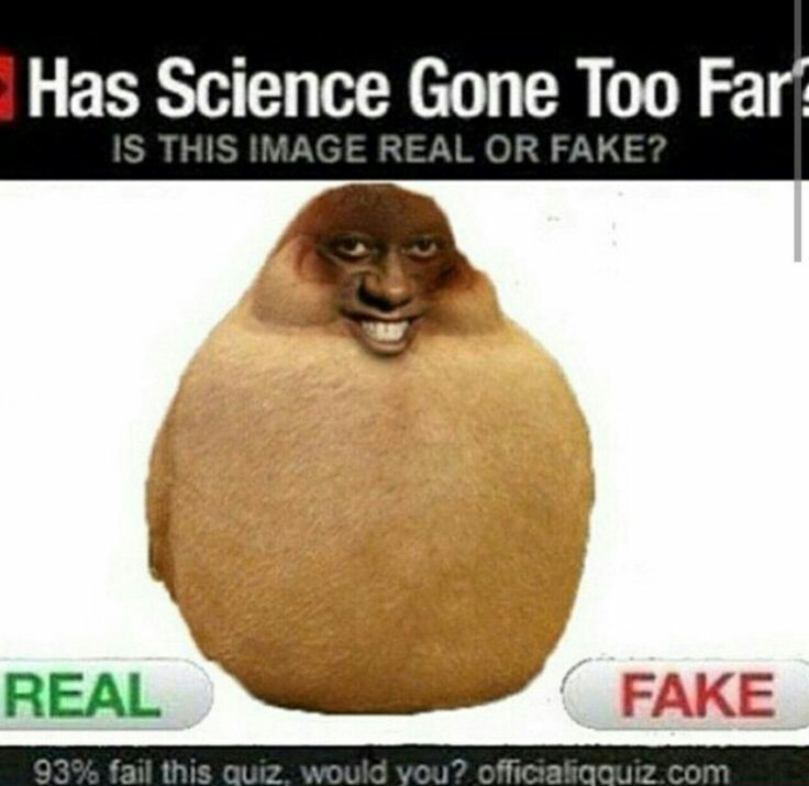 Real or fake? ( ͡° ͜ʖ ͡°) - meme