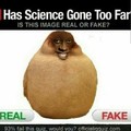 Real or fake? ( ͡° ͜ʖ ͡°)