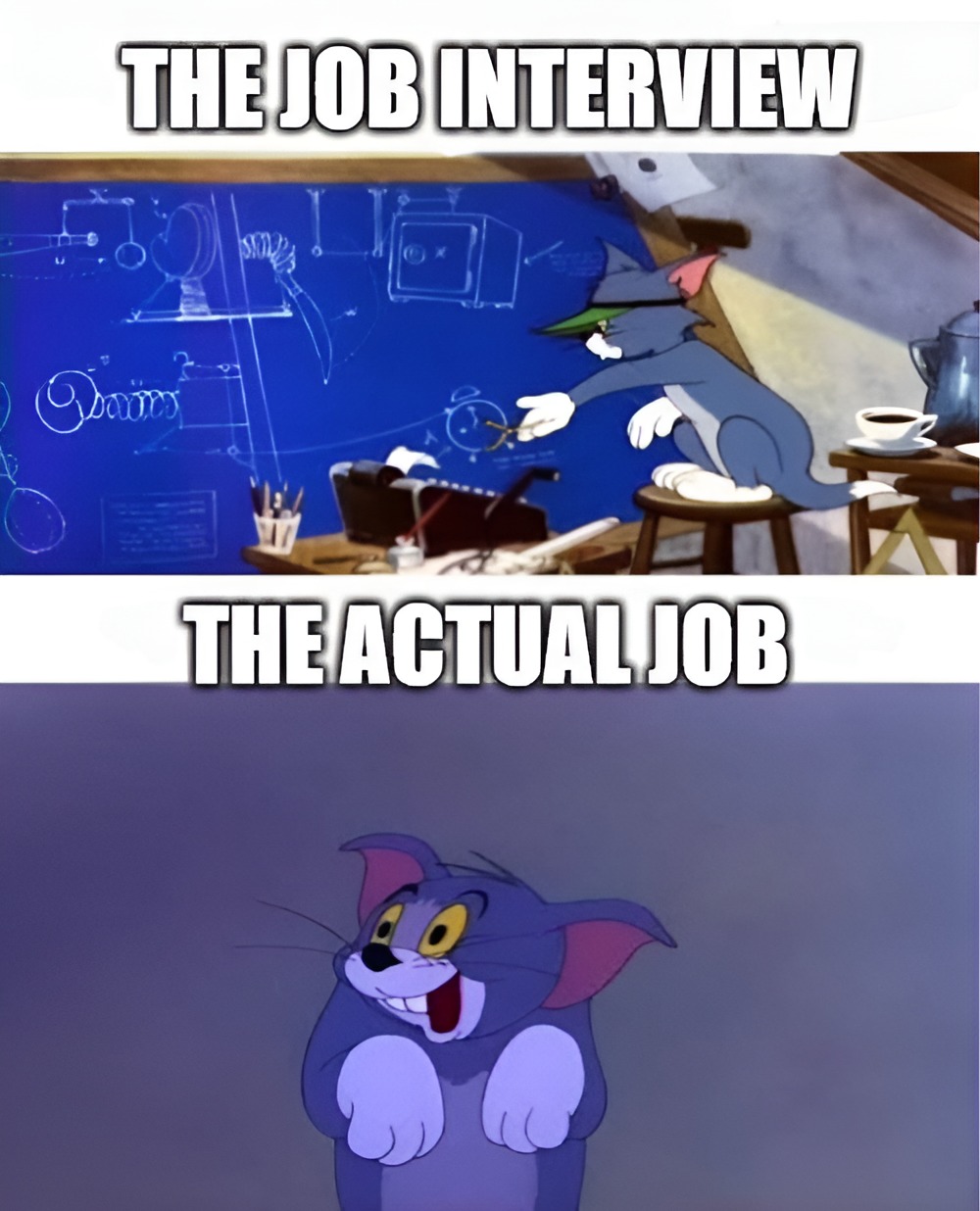 Job Interview vs Actual Job - meme