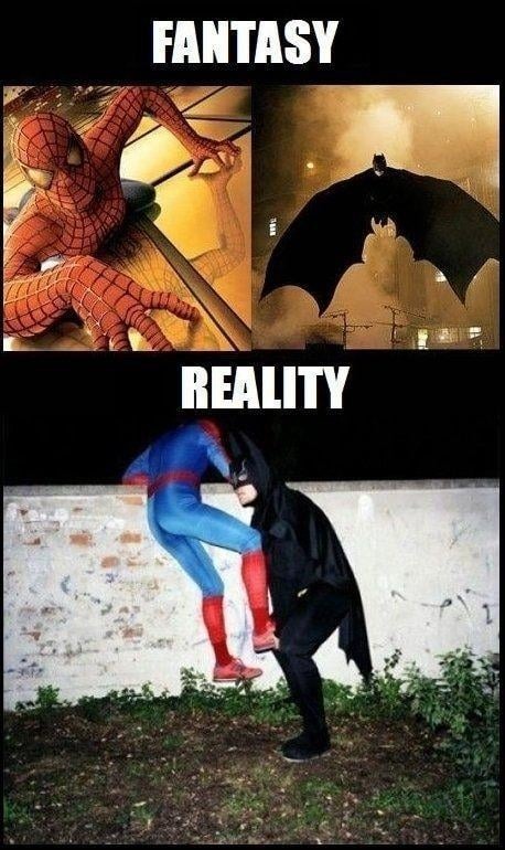 Fantasy vs. Reality: The ultimate scam - meme