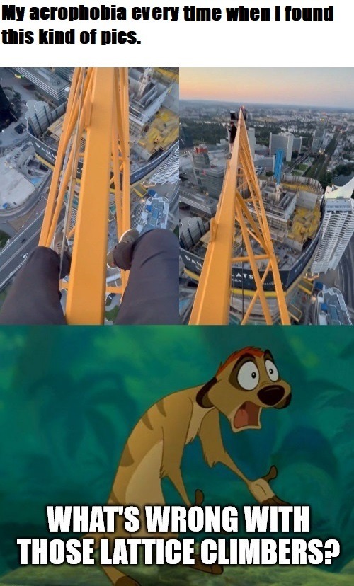 My Acrophobia is not amused - meme