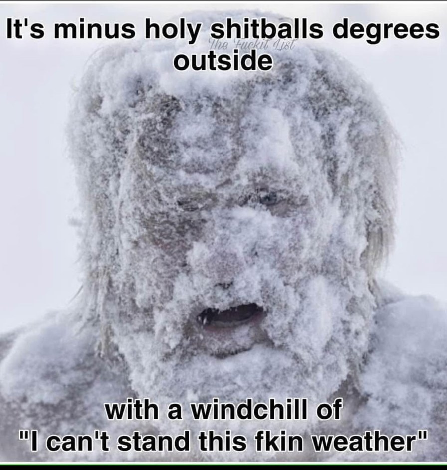 F**kin winter - meme