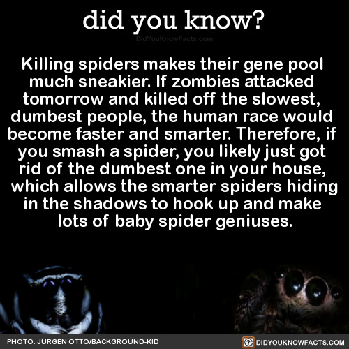 Spiders love you too! ♡♡♡ - meme