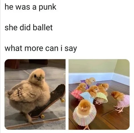 A chick - meme