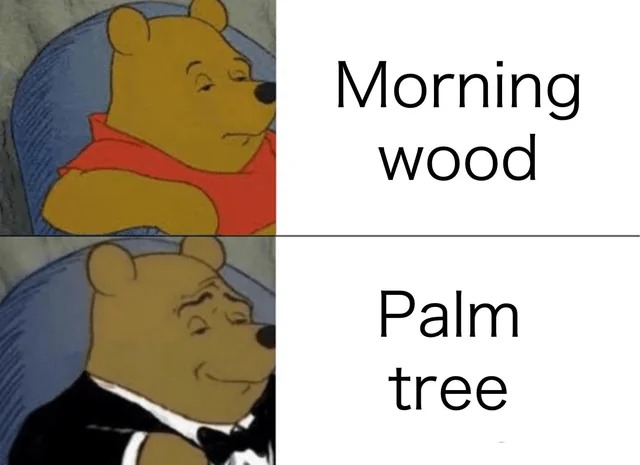Palm tree vs morning wood - meme