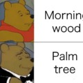 Palm tree vs morning wood