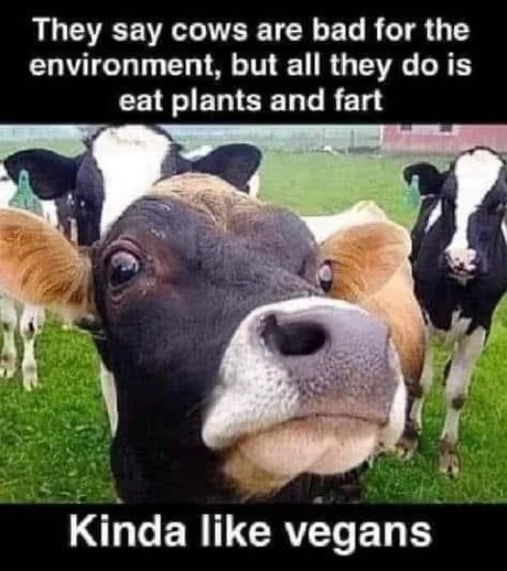 Cow meme