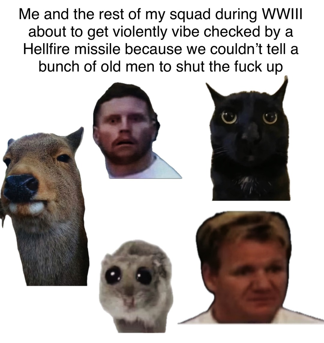 Who do you think is going to be fighting in WW3 - meme