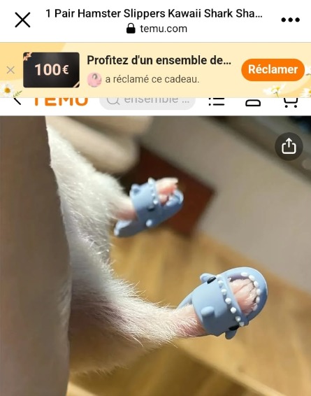 Hamster Slippers - meme