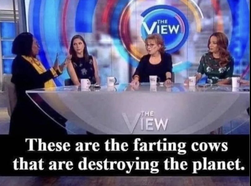 Farting Cows - meme