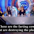 Farting Cows