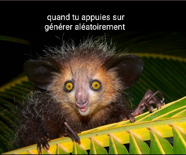 :True: - meme