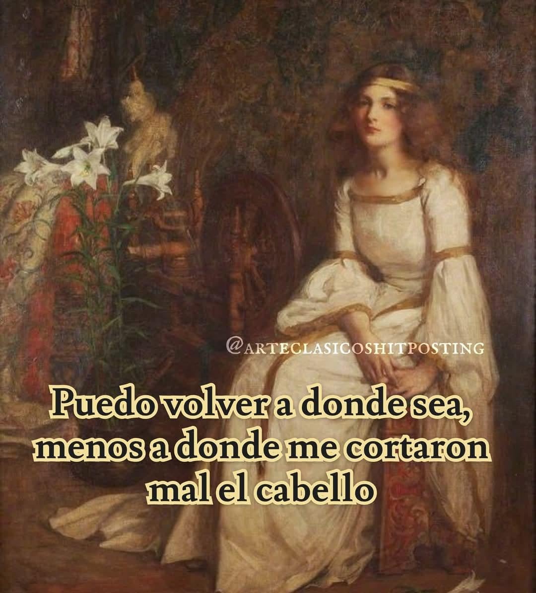 no volveré a ese pluquero - meme