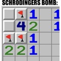Schrodingers bomb