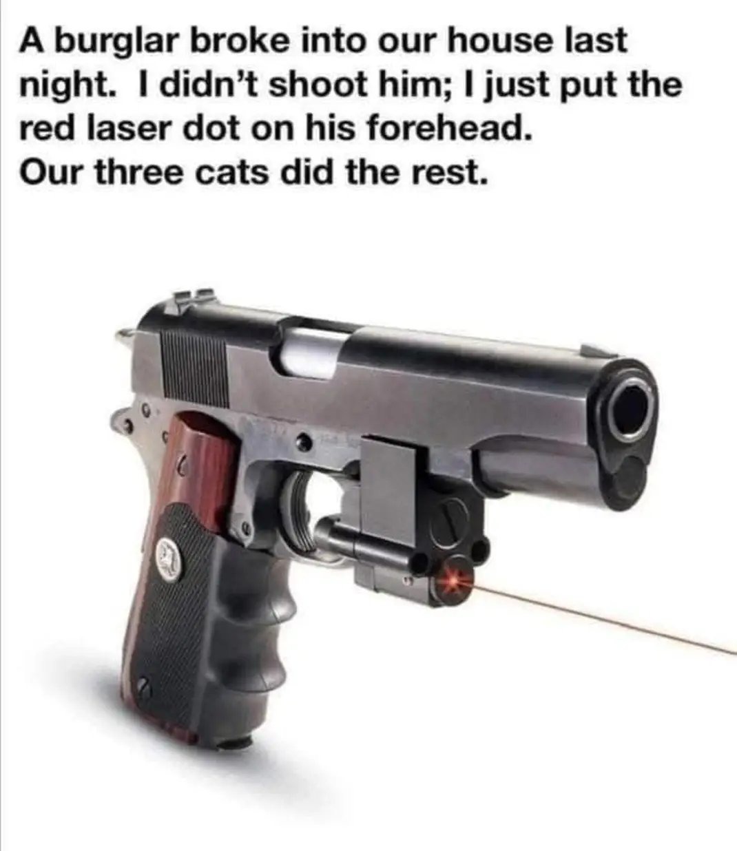 Tactical Cats - meme