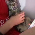 commented item thumbnail