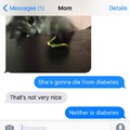 Diabetes Cat