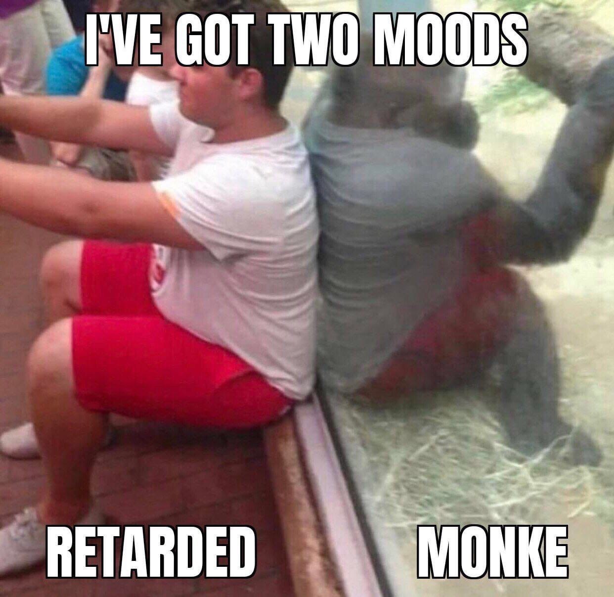 Real monke hours - meme
