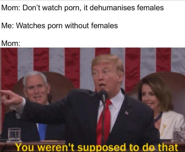Don't watch porn, it dehumanises females - meme