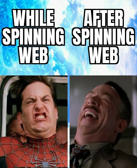 Spins a web any size! - meme
