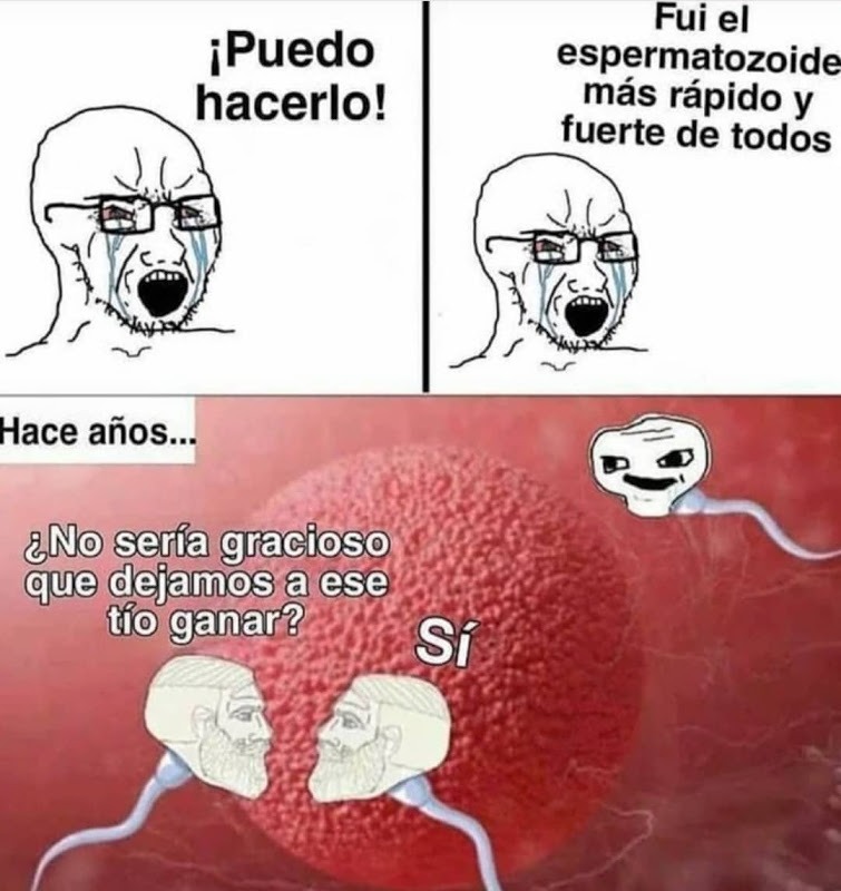 hasta los espermatozoides son chads xd - meme