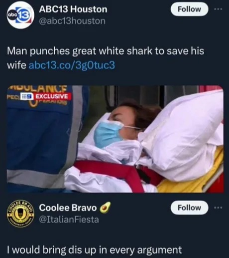 Man punches great white shark to save his wife - meme