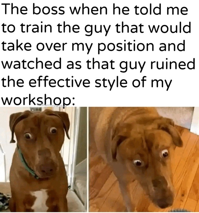 Trained my replacement and watched him burn it all down - meme