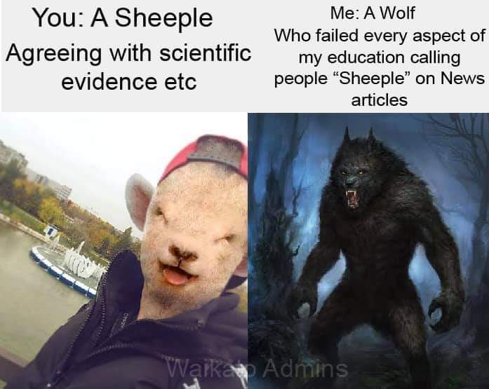Le sheeple - meme