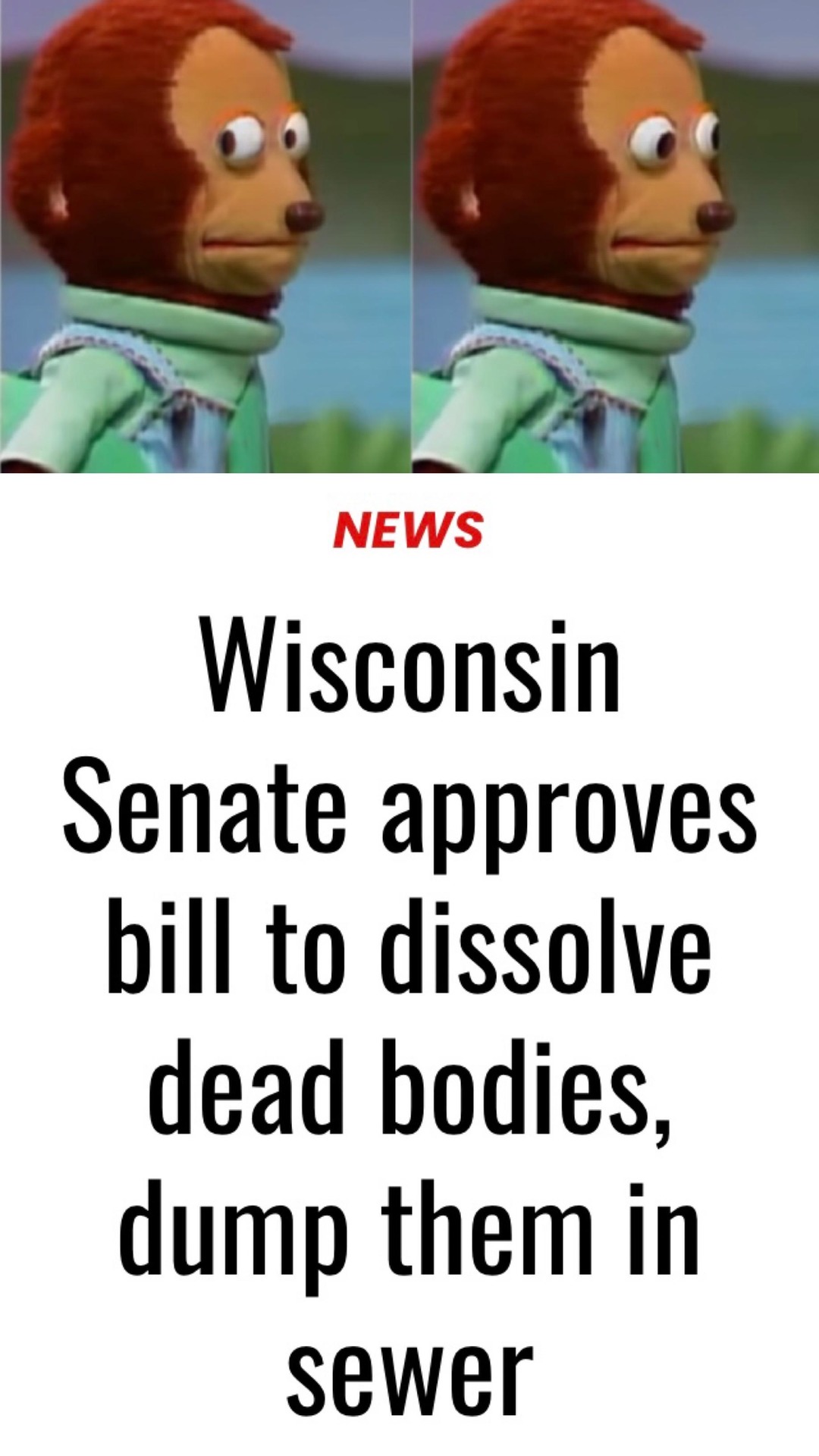Wisconsin Senate approves bill to dissolve dead bodies, dump them in sewer - meme
