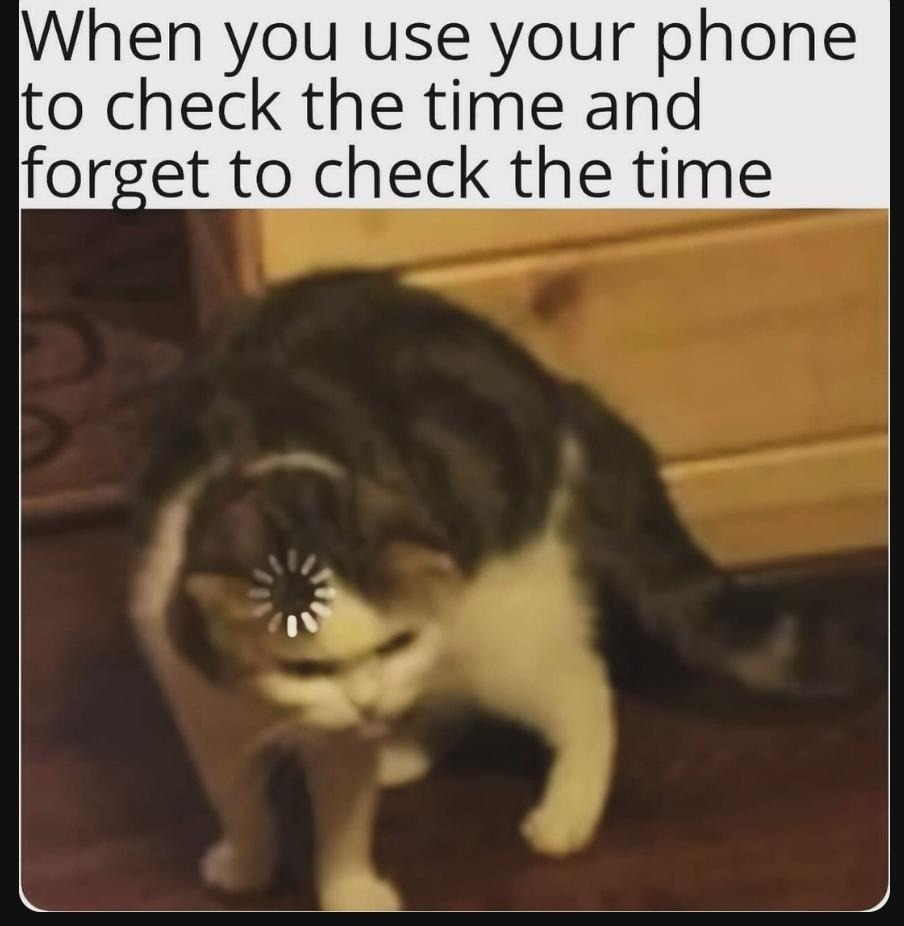 Checks phone to see time. Puts phone down. Still don’t know the time - meme