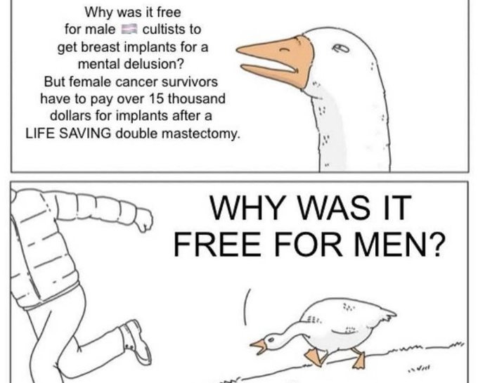 ﻿Why was it free for male cultists to get breast implants for a mental delusion? But female cancer survivors have t0 pay over 15 thousand dollars for implants after a LIFE SAVING double mastectomy: WHY WAS IT FREE FOR MEN?