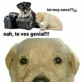commented item thumbnail