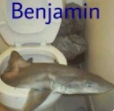 Benjamin - meme