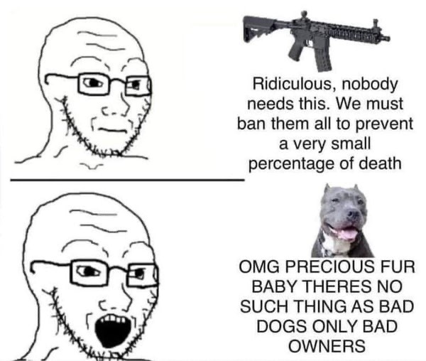 Guns are better - meme