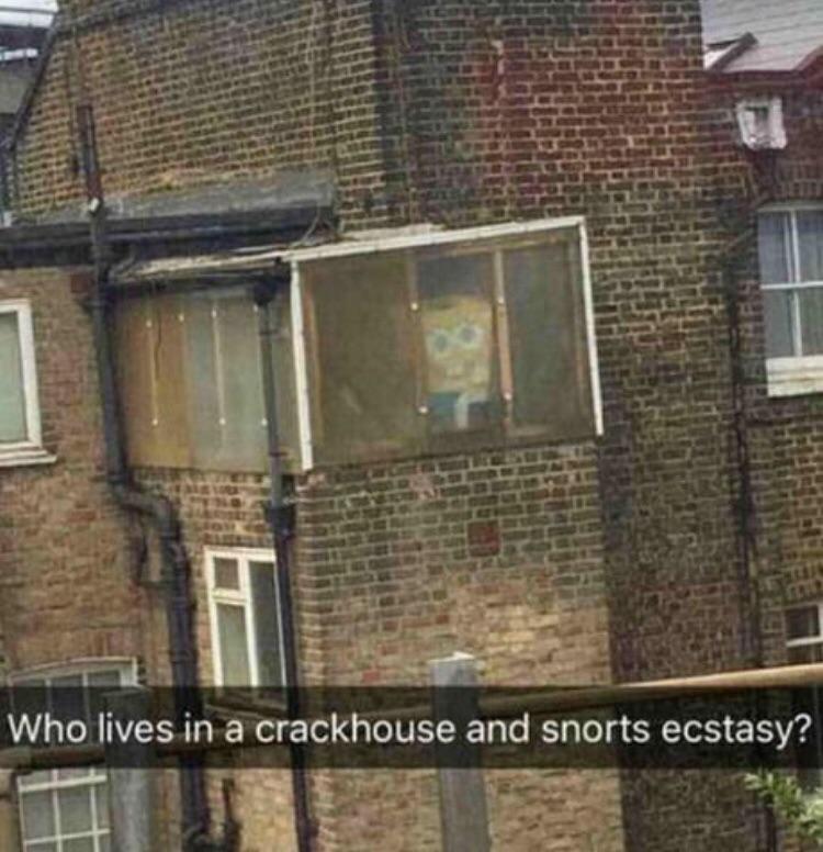 Who lives in a crackhouse and snorts ecstasy? - meme