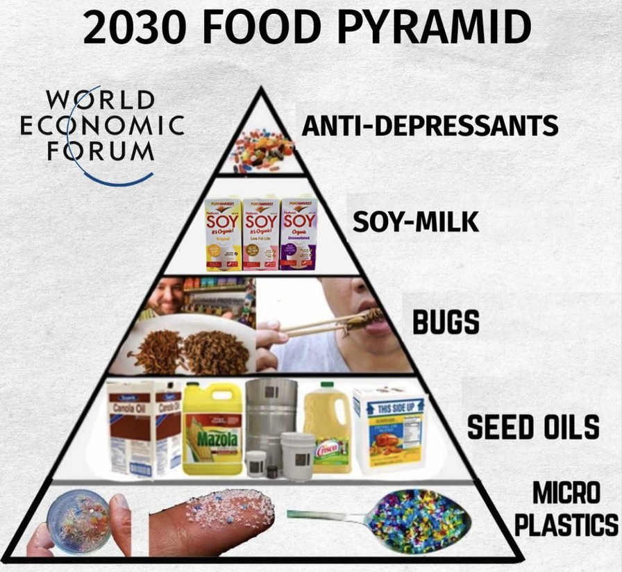 WEF 2030 food pyramid - meme