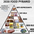 WEF 2030 food pyramid
