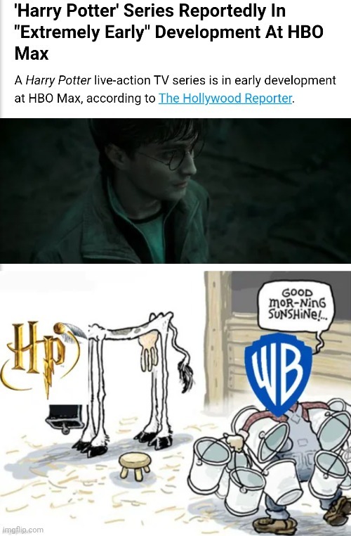 harry potter and hermione Memes & GIFs - Imgflip